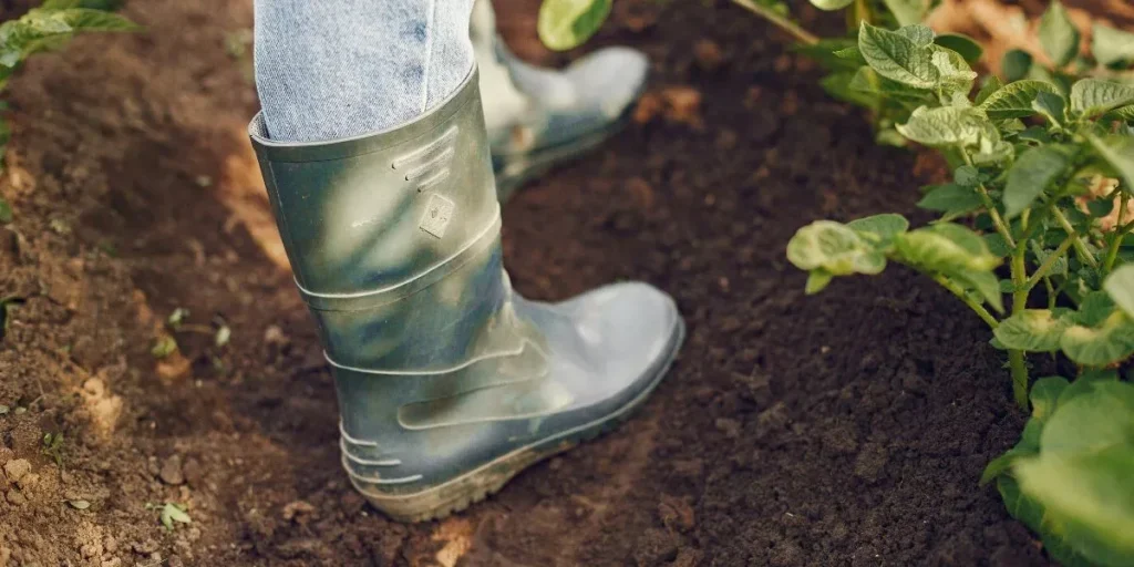 Why Is It Important to Wear Proper Footwear in the Garden?