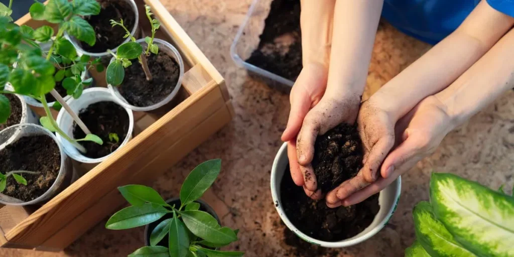 Common Myths About Plant Care Debunked