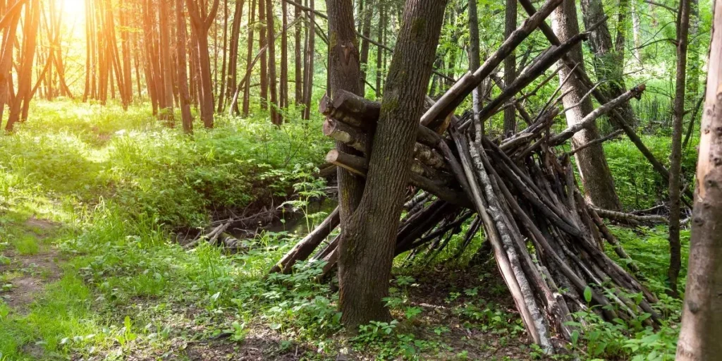 Understanding Wildlife Behavior for Safety