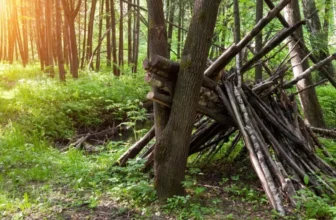 Understanding Wildlife Behavior for Safety